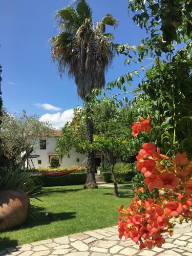 Villa Olive