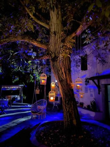Villa Olive