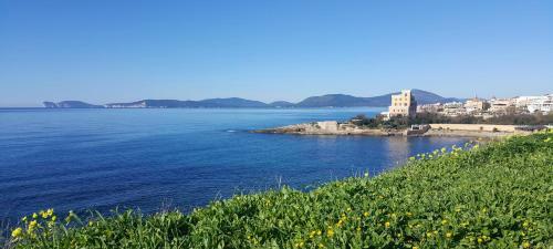 Apartamento Appartamento Fronte Porto