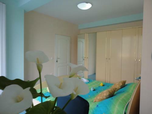 Hostal Accommodation Old City Jt
