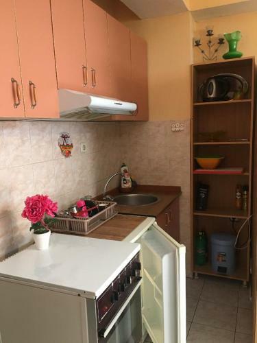 Ani Apartment