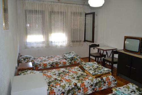 Hostel Valentin