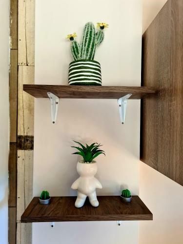 Apartamento Apt. Cactus & Friends Sweet & Fresh