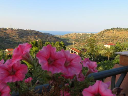 Bed & Breakfast Camere Granatelli