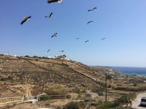 Apartamento A&a House Mykonos A