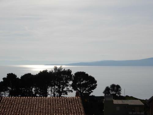 Apartment Basca