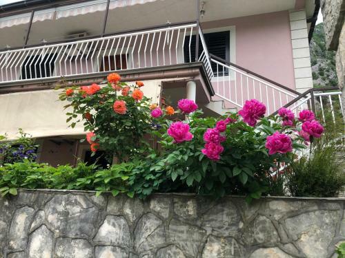 Apartman Ognjen