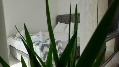 Luxury Apartment Iva