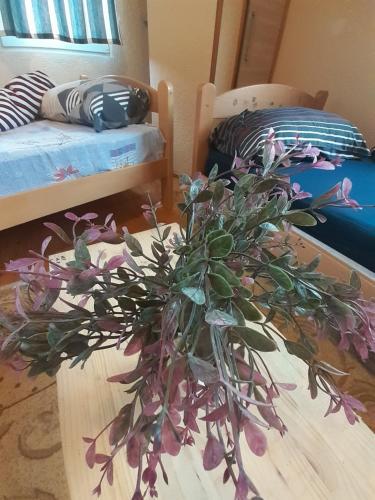 Apartamento Bella Apatment