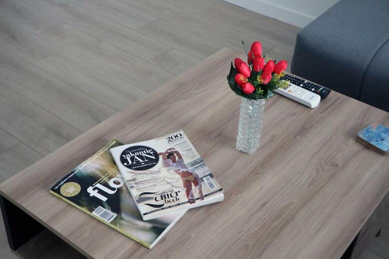 Spacious Modern Apartment Kisela Voda