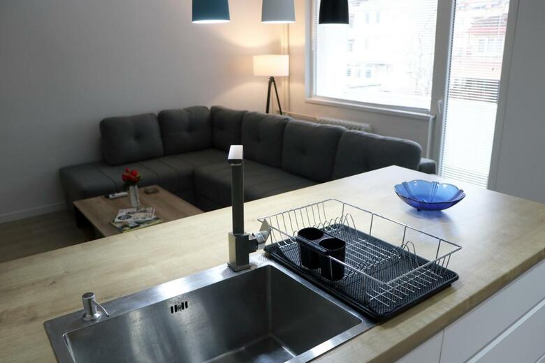 Spacious Modern Apartment Kisela Voda