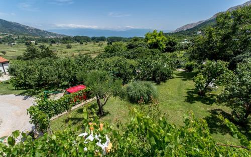 Apartman Maledi