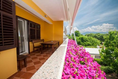 Apartments Surfinia