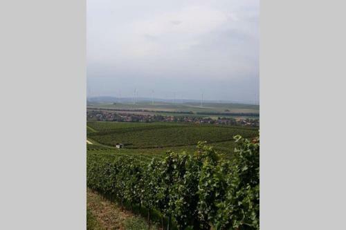 Apartamento Wohlf�hlen Im Rheinhessischen Backsteinhaus