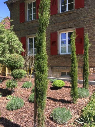 Apartamento Wohlf�hlen Im Rheinhessischen Backsteinhaus