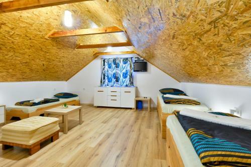 Jungle House