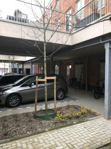 Apartamento Benb Op de Trans, Arnhem Op Zijn Best!