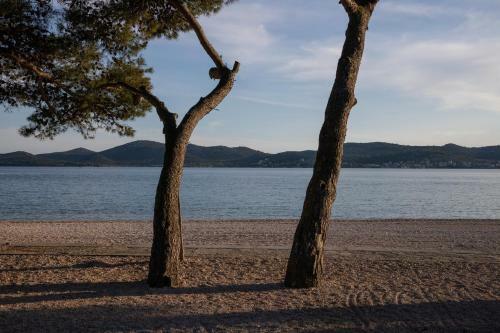 Apartmani Dina
