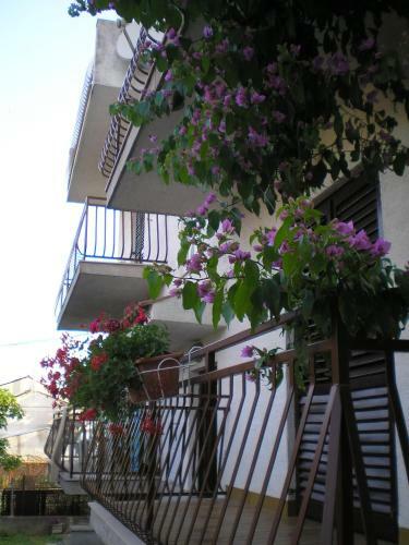 Apartmani Danica