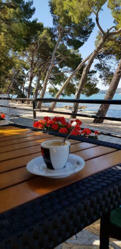 Mobile Home Tea & Tia Camp Soline