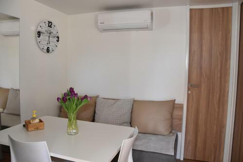 Mobile Home Tea & Tia Camp Soline