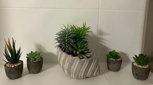 Apartamento Pink Peony