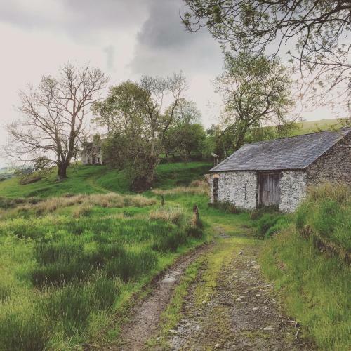Bed & Breakfast Maes Y Gwaelod