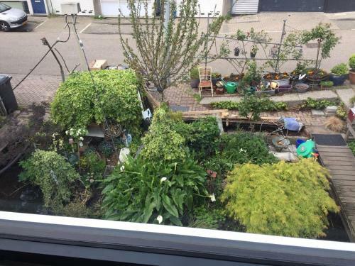 Bed & Breakfast Reiwa