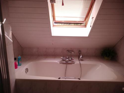 Dendolili Room