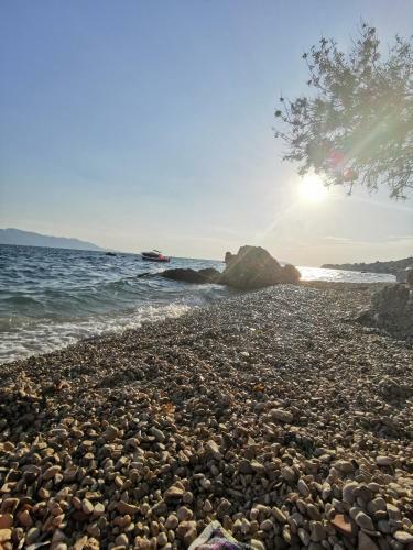Apartmani Elena I Branko