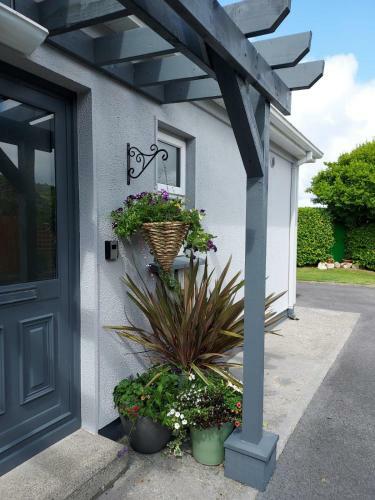 Aoibhneas, Carraroe