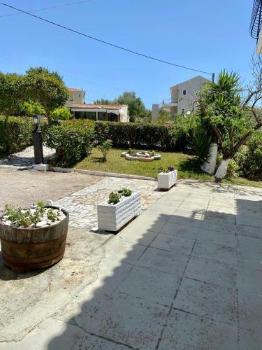 Lemon Tree Apartments A D