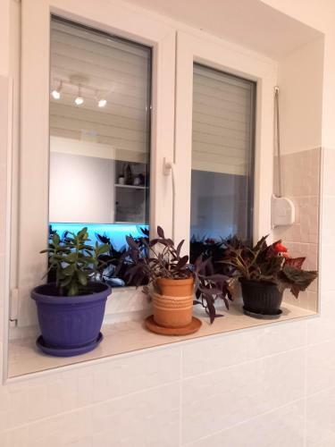 Apartman Sti?anka
