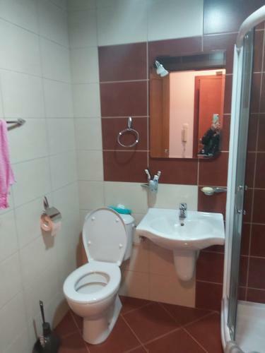 Apartmani Tomasevic
