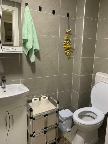 Apartman Sveta