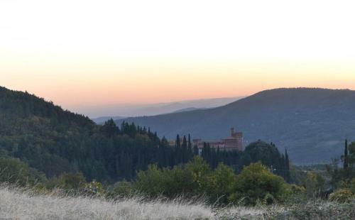 Agroturismo Castello Di Valenzano