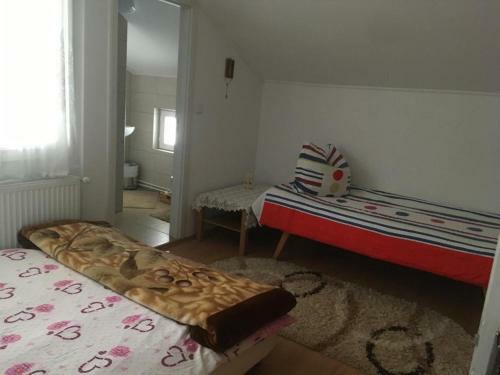 Hostal Vila Firuta Borsa