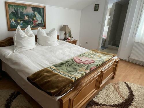 Hostal Vila Firuta Borsa