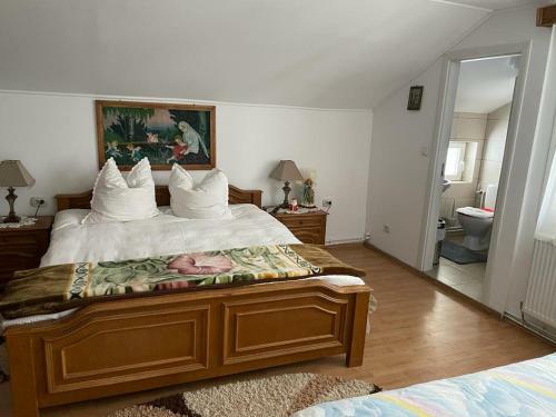 Hostal Vila Firuta Borsa