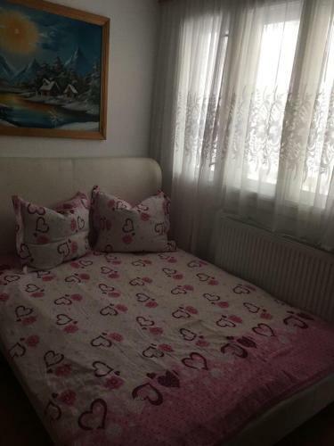Hostal Vila Firuta Borsa