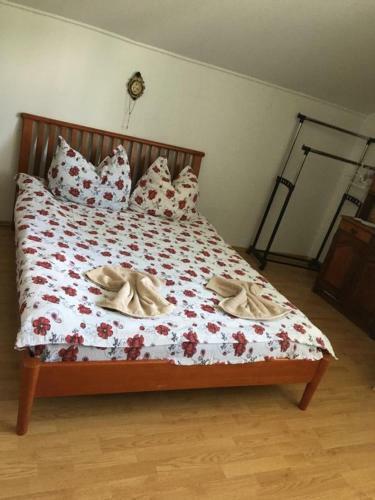 Hostal Vila Firuta Borsa