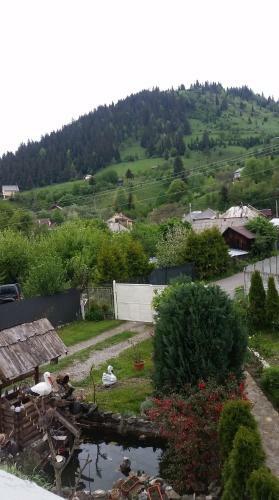 Hostal Vila Firuta Borsa