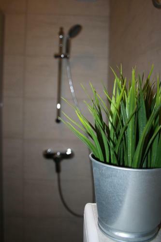 Studio Apartman Centar