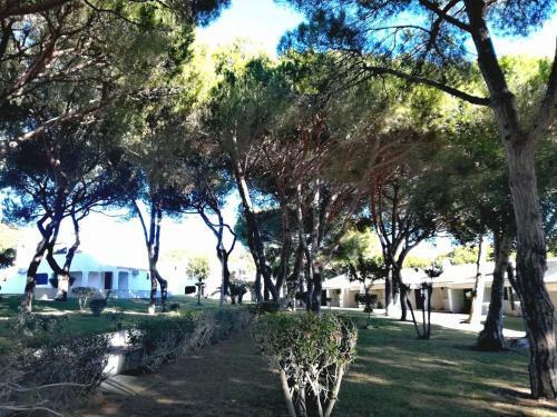 Apartamento Cozy Studio A�oteias