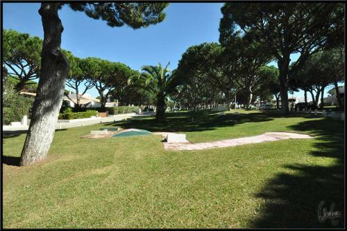 Apartamento Cozy Studio A�oteias