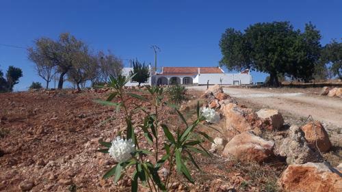 Quinta Catarina