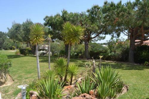 Yara Beach Apartments - Albufeira
