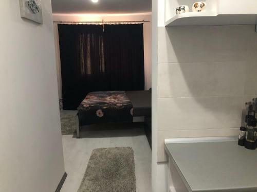 Apartamento Garsoniera Aleea Trandafirilor