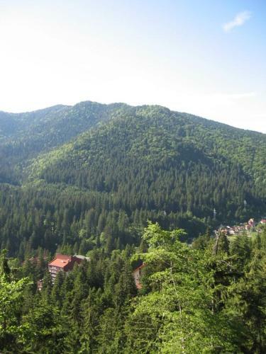 Hostal Antonia
