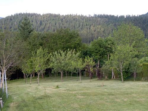 Apartman Ris Gorski Kotar Crni Lug